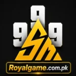 sm999 game logo